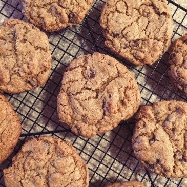 Whole Wheat Chocolate Chip Cookies