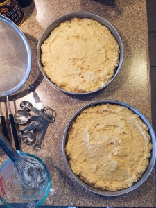 Vanilla Bean Cake Batter in Pans