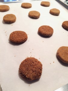 Fall Spice Cookies Dough